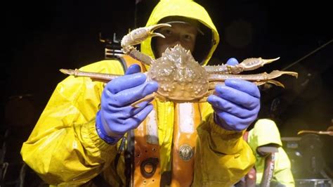 deadliest catch extratorrent|Deadliest Catch: Crab Season's Canceled Again, But Season 20 .